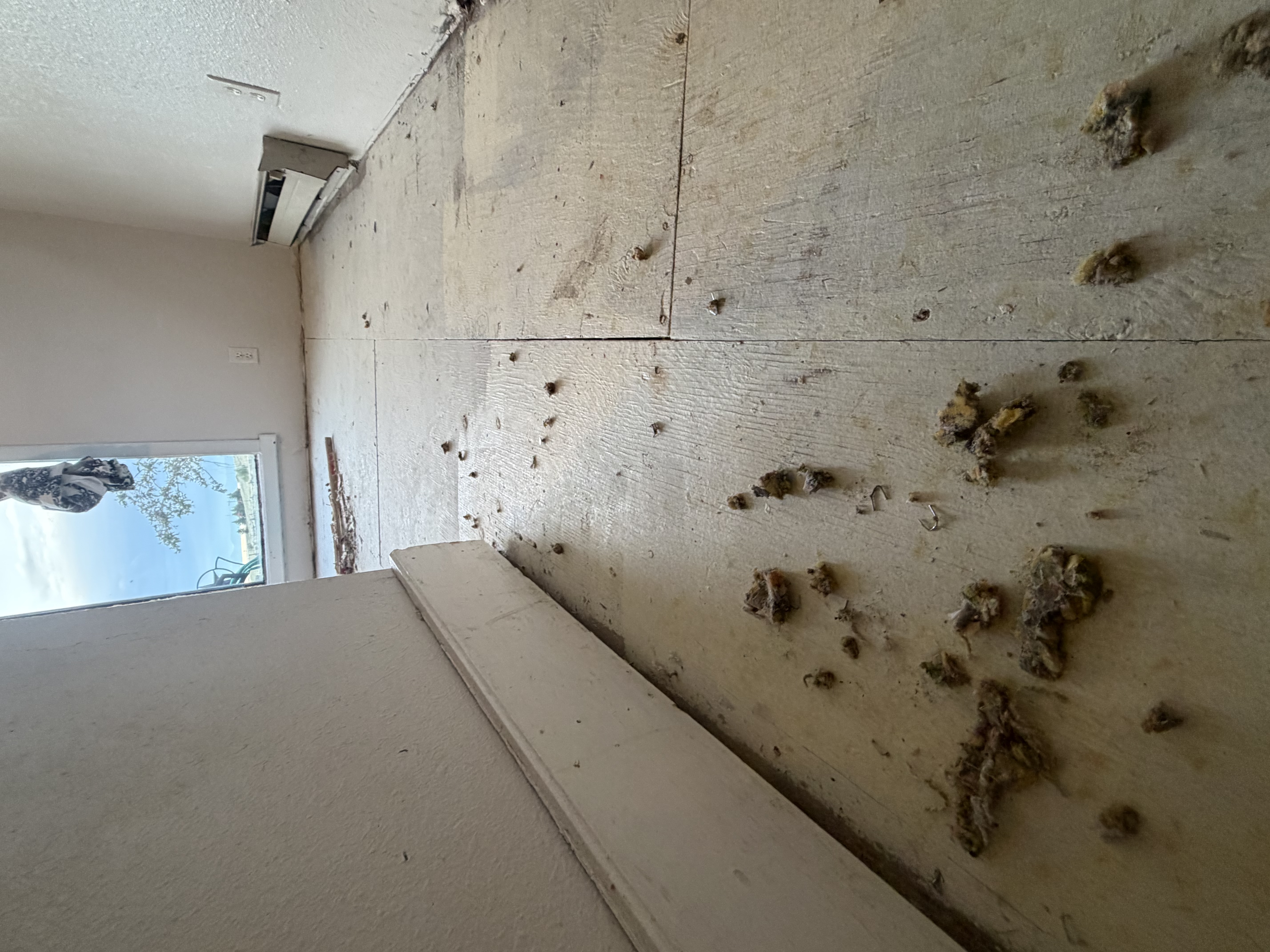 Poor demolition job - subfloor with staples and debris left behind