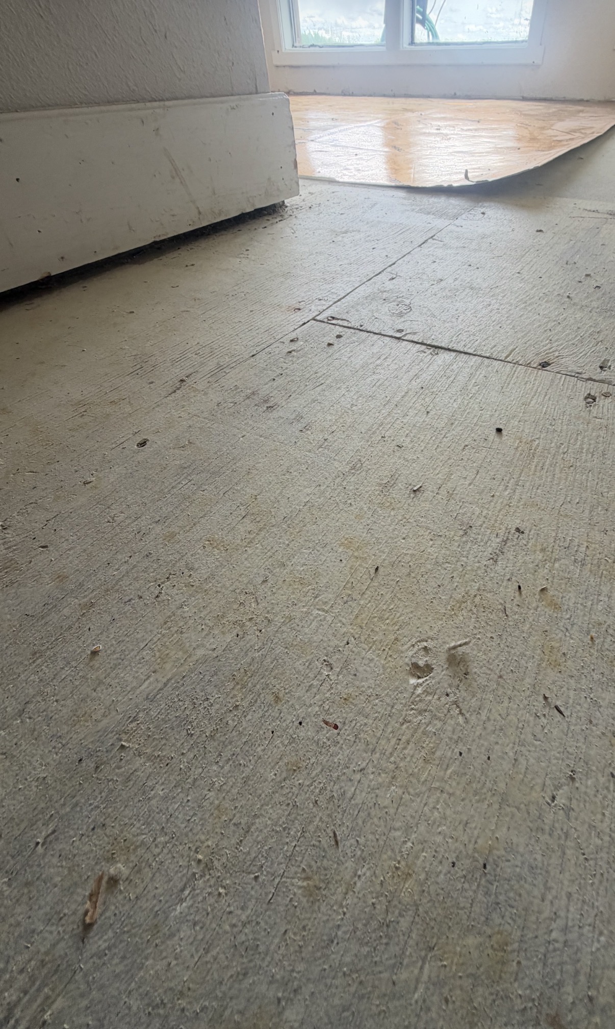 Completed demolition job - clean subfloor ready for new flooring