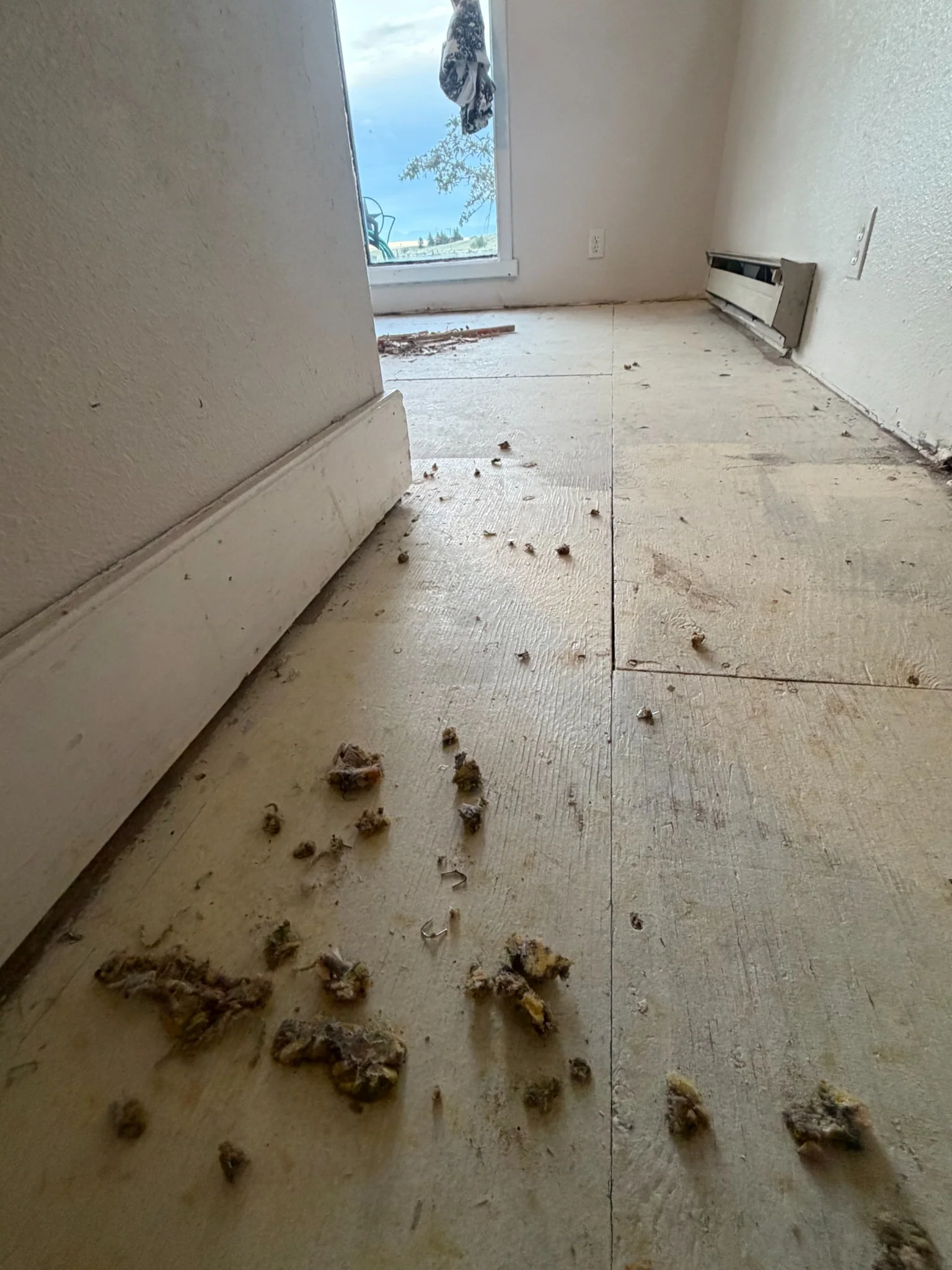 Unfinished flooring job with staples and debris left behind